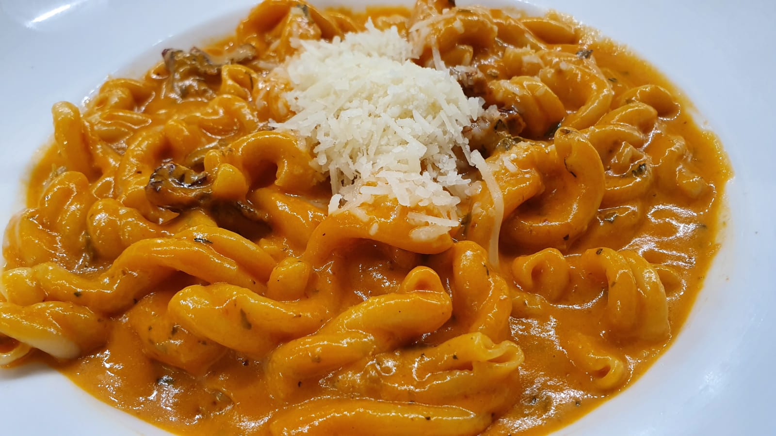 WhatsApp Image 2020-09-16 at 7.39.23 PM.jpeg.jpg.jpg.jpg